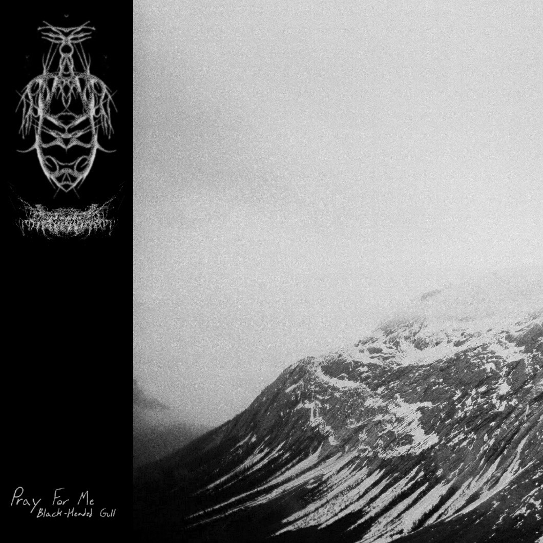 Pray For Me cover art