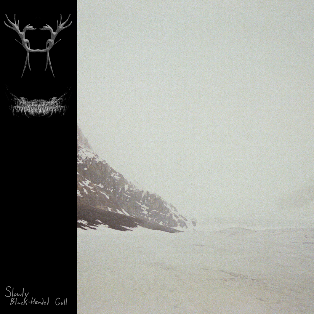 Slowly cover art
